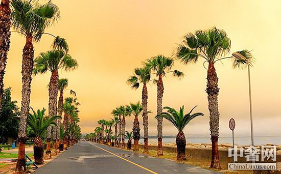 塞浦路斯 塞浦路斯