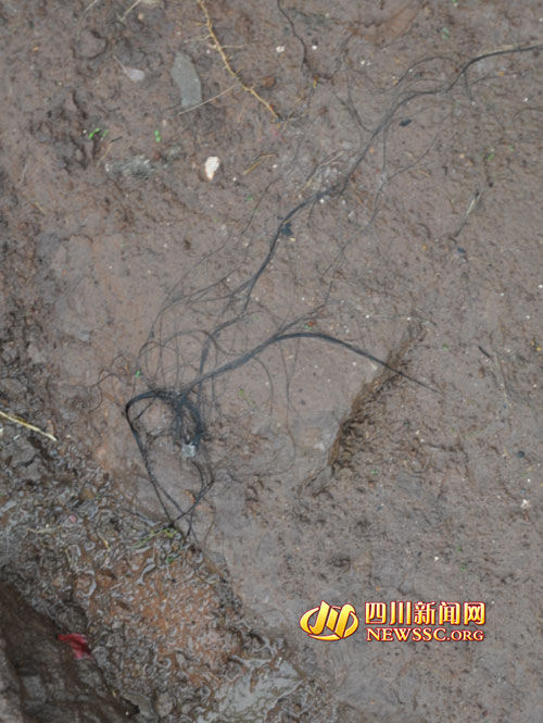 被盜尸體散落在現場的頭發